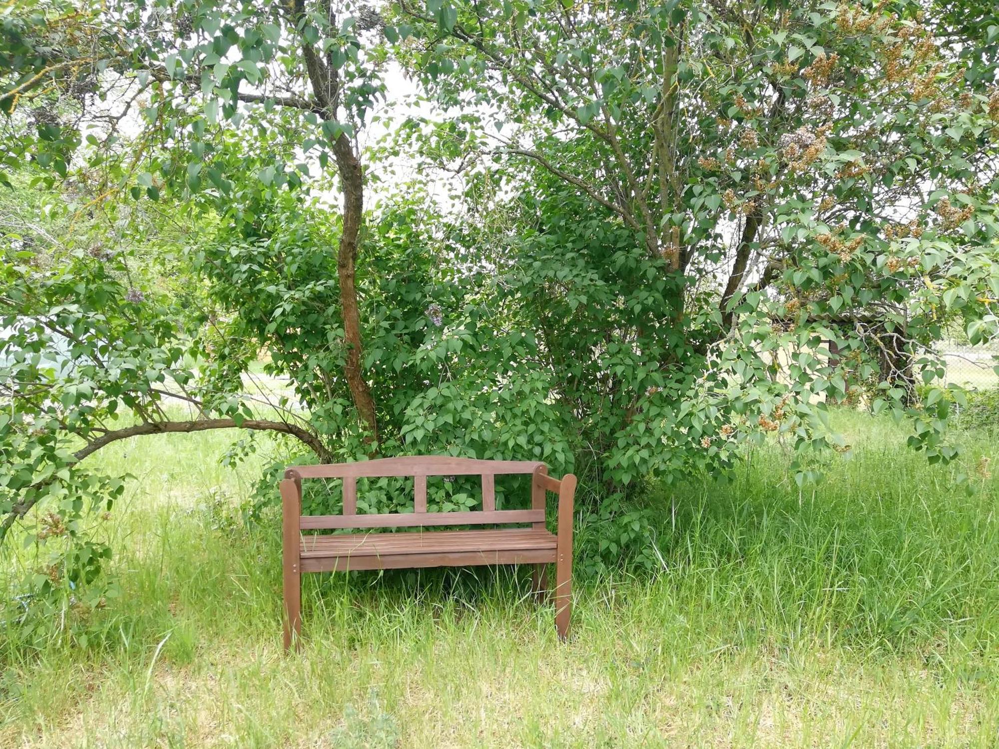 Kleine Galerie Apartment Fuer 3 Mit Kueche Kamin Netflix Parken Und Hofladen Steinhofel Dış mekan fotoğraf